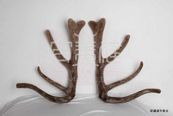 新疆昌吉華盛商貿(mào)鹿茸